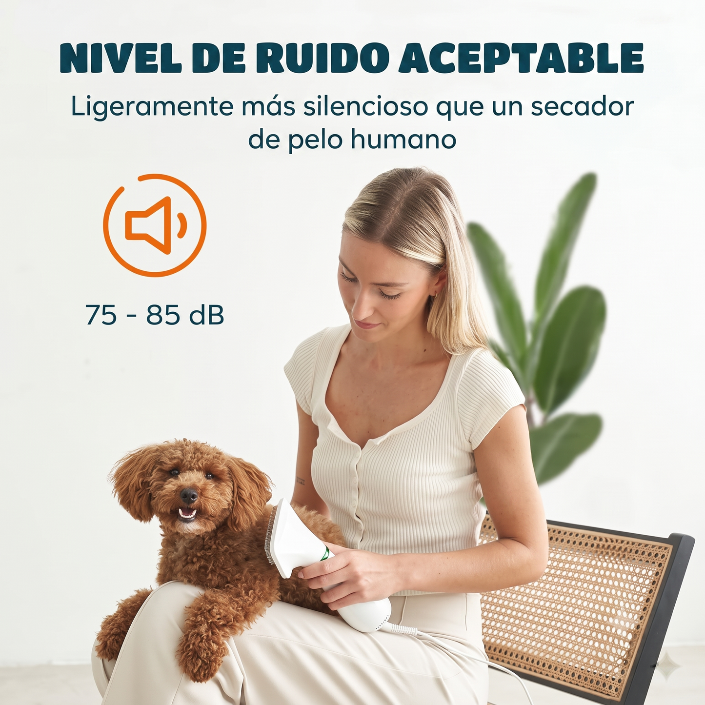 Cepillo Y Secador De Mascotas 2 En 1