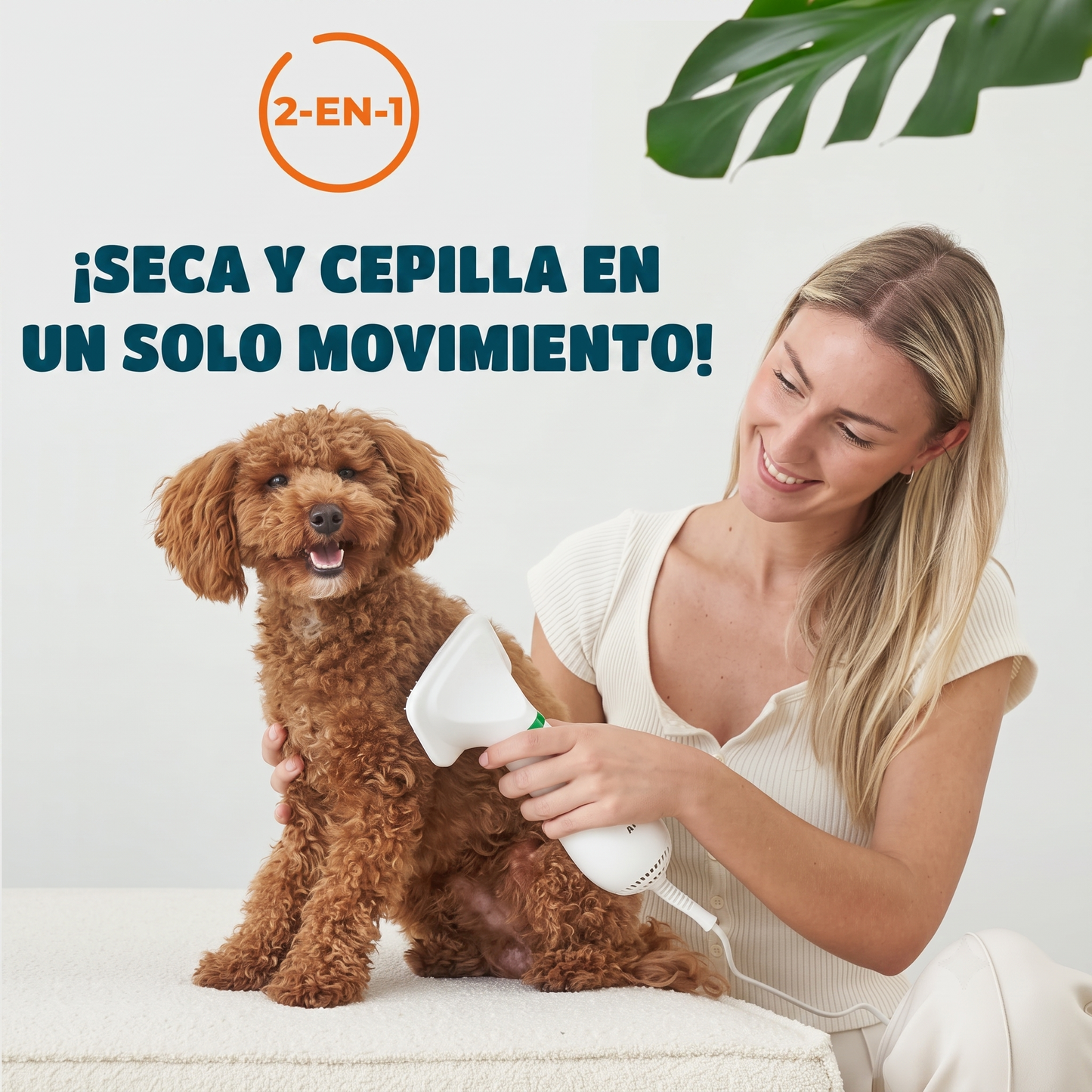 Cepillo Y Secador De Mascotas 2 En 1